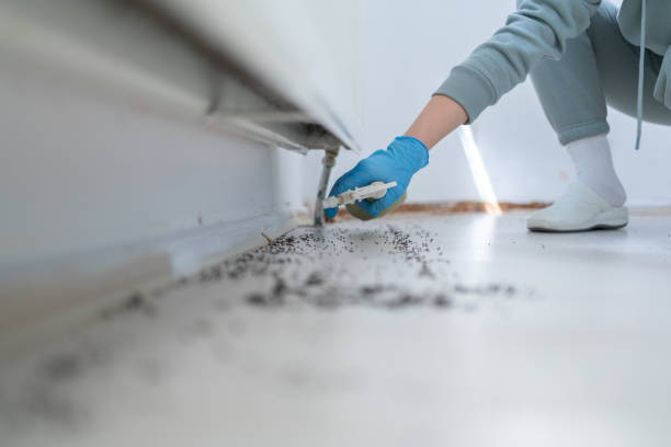 Professional Pest Control in St James, MO